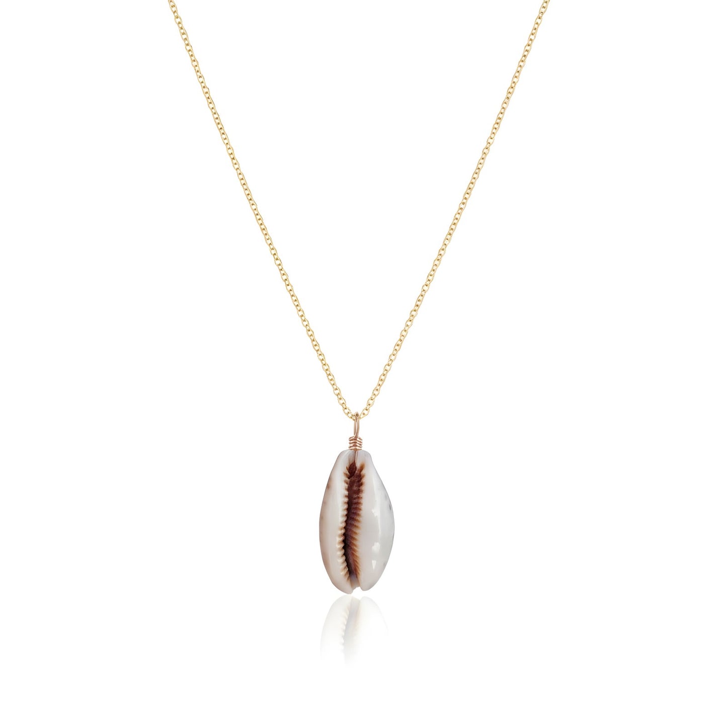 Quenia shell