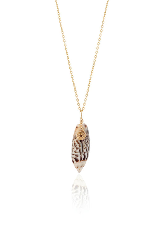 Beach shell for trust