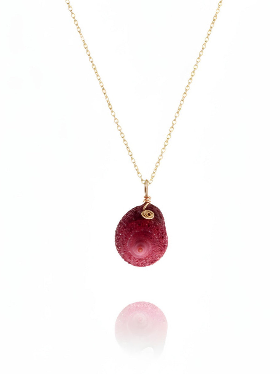 Coral Quenia pink shell