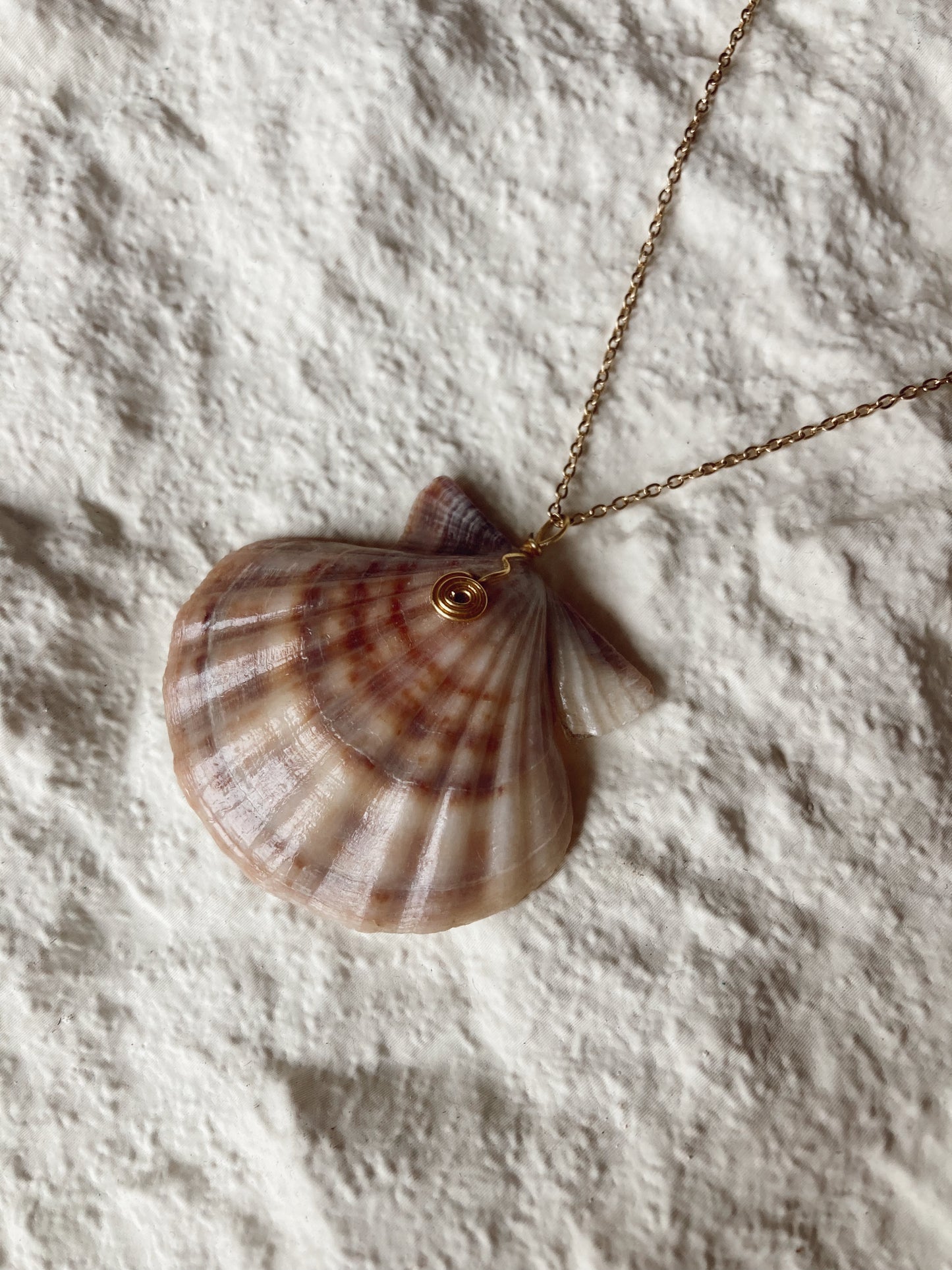 Rio shell