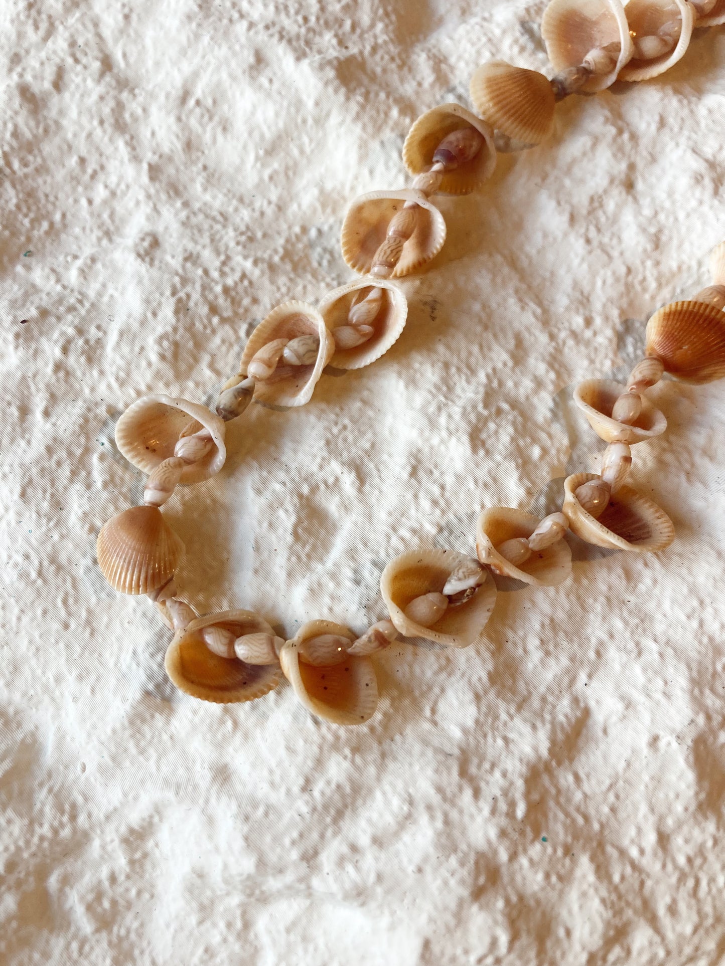 Caraíva shells