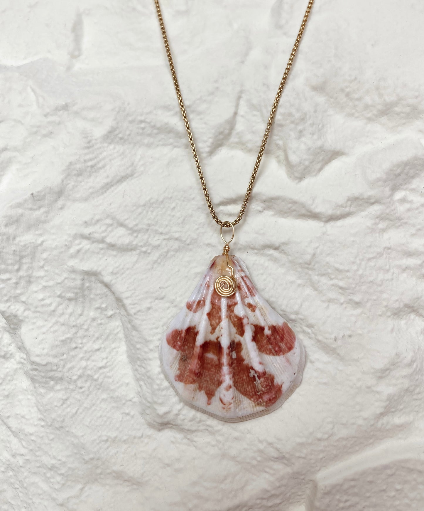 Beach shell