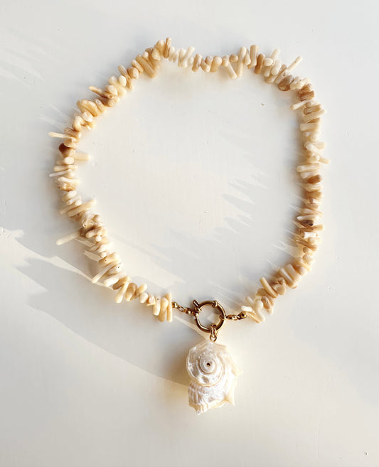 Coral white shell