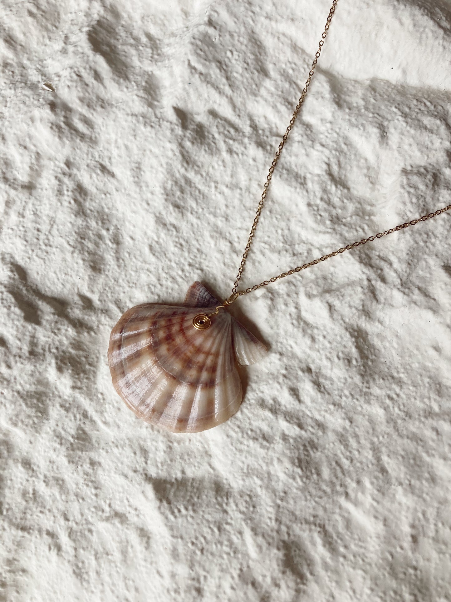 Rio shell