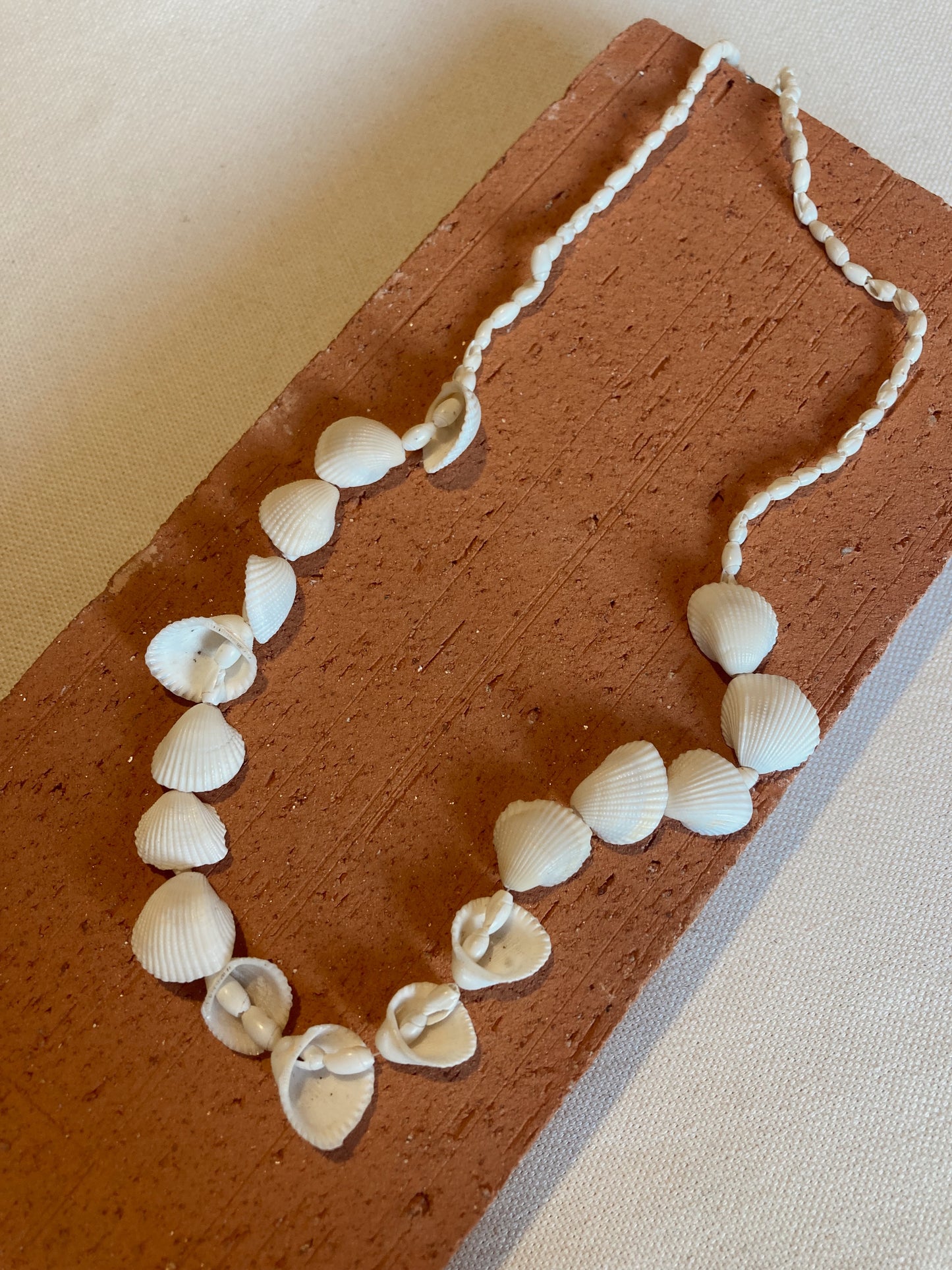 Caraíva shells