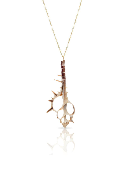 Shell Necklace