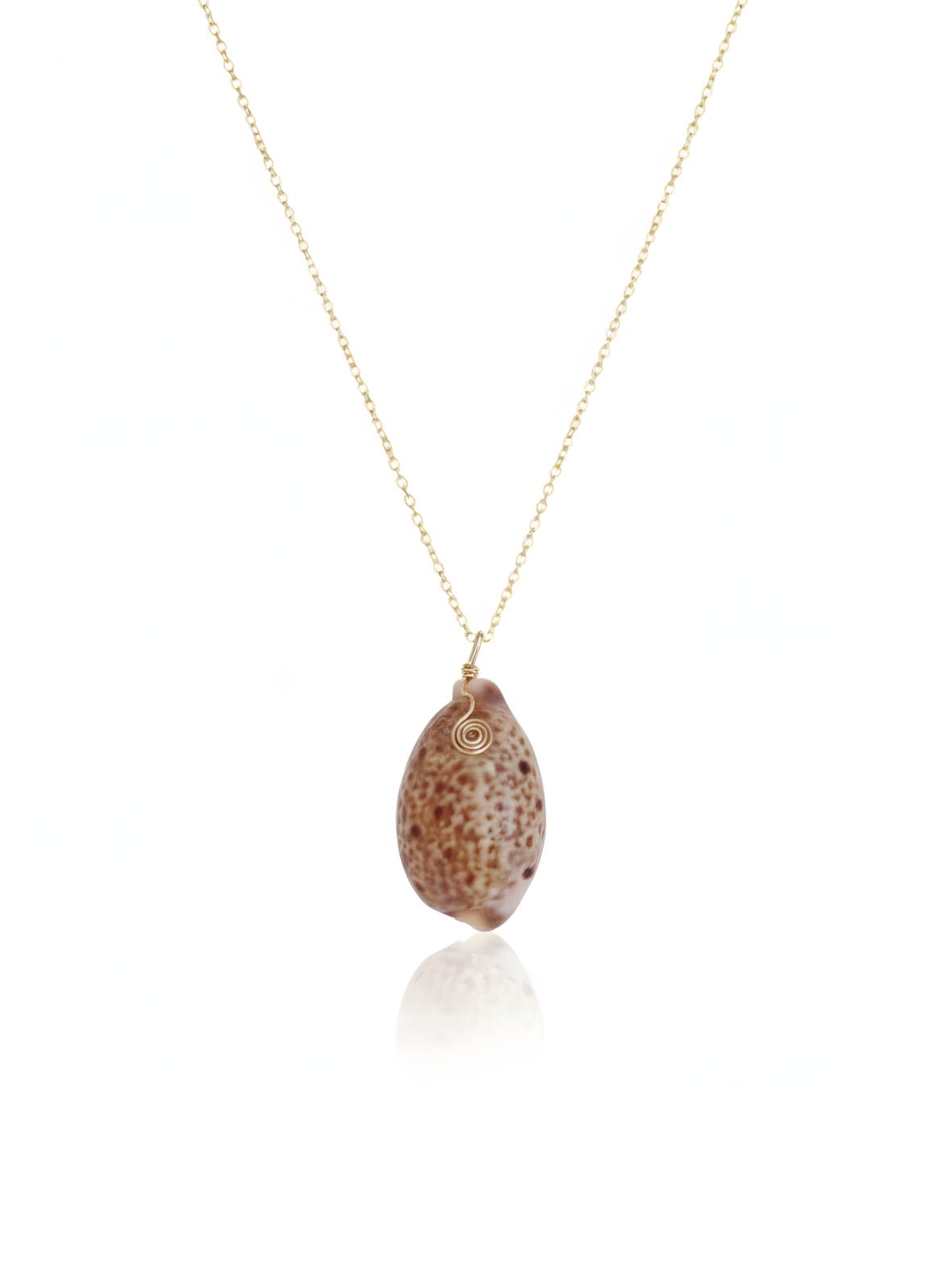 Quenia shell
